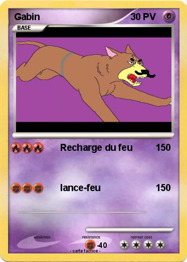 Pokemon Gabin