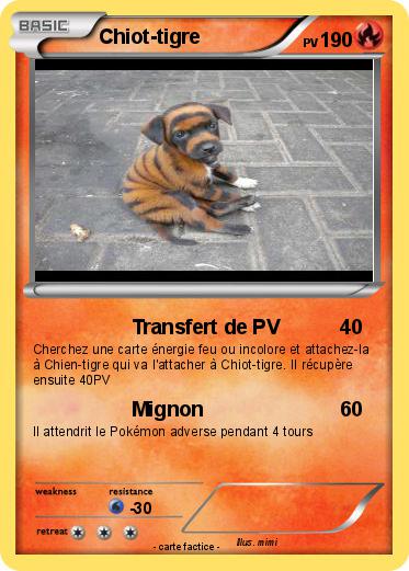 Pokemon Chiot-tigre