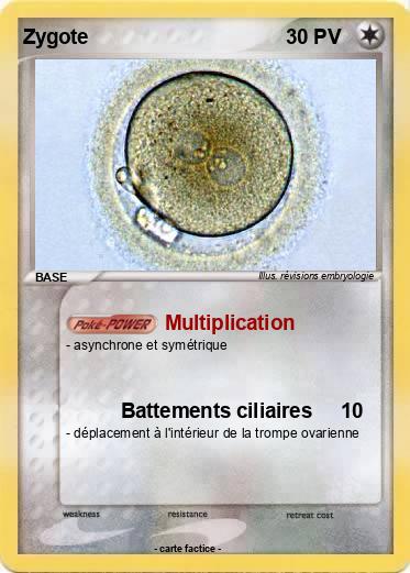 Pokemon Zygote