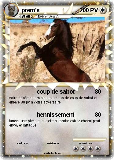 Pokemon prem's