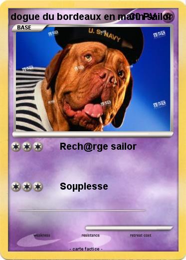 Pokemon dogue du bordeaux en marin sailor
