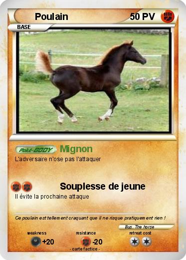 Pokemon Poulain