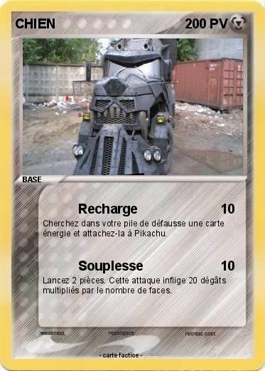 Pokemon CHIEN