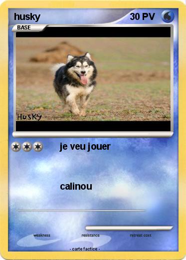 Pokemon husky