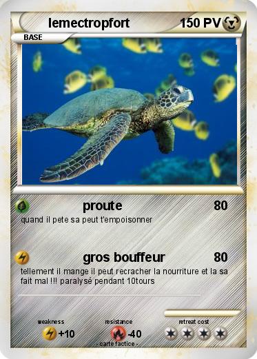 Pokemon lemectropfort