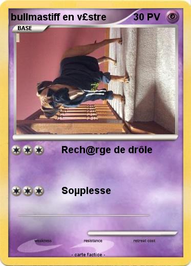 Pokemon bullmastiff en v£stre
