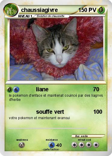 Pokemon chaussiagivre