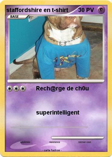 Pokemon staffordshire en t-shirt