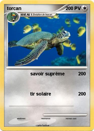 Pokemon torcan