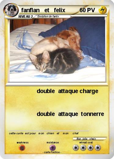 Pokemon fanflan   et   felix