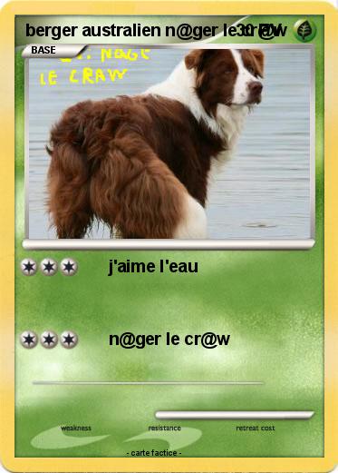 Pokemon berger australien n@ger le cr@w