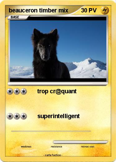 Pokemon beauceron timber mix