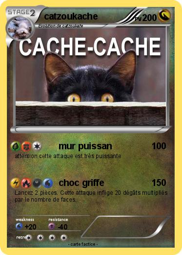 Pokemon catzoukache