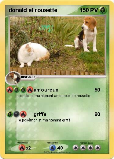 Pokemon donald et rousette