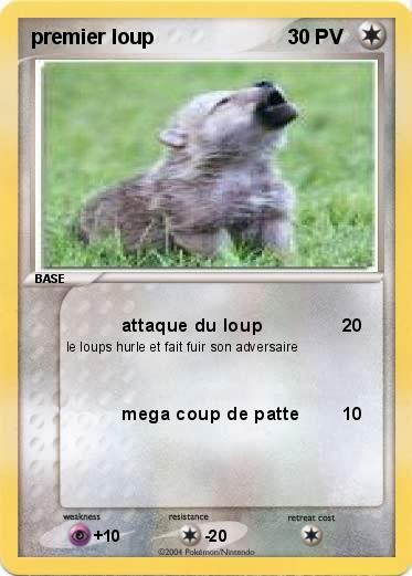Pokemon premier loup 