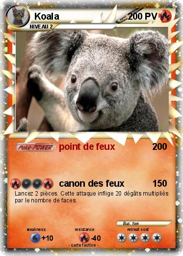 Pokemon Koala