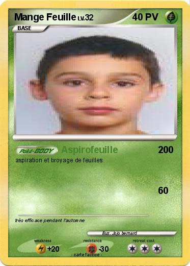 Pokemon Mange Feuille