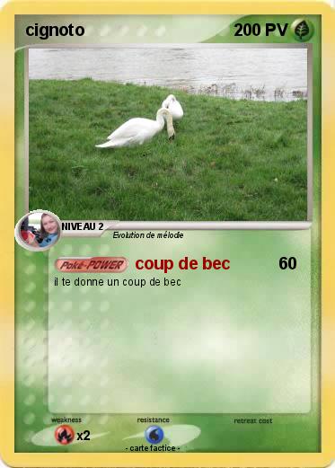 Pokemon cignoto