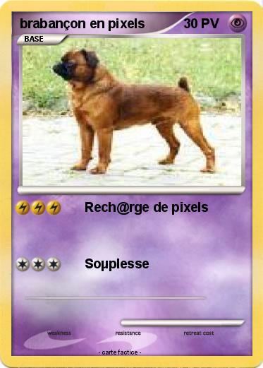 Pokemon brabançon en pixels