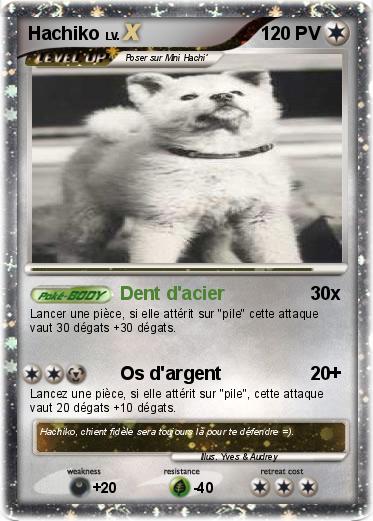 Pokemon Hachiko