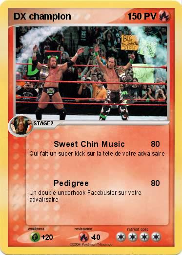 Pokemon DX champion