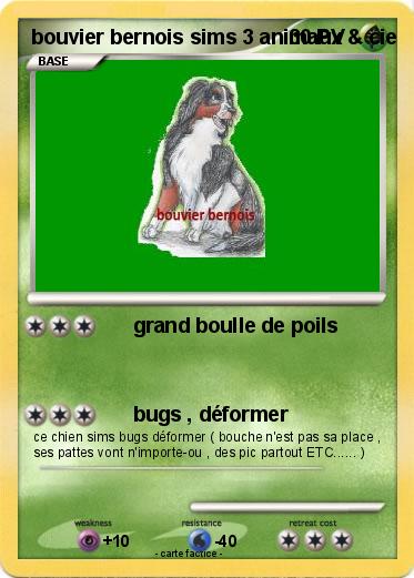 Pokemon bouvier bernois sims 3 animaux & cie