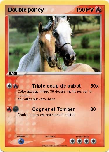 Pokemon Double poney