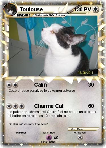 Pokemon Toulouse