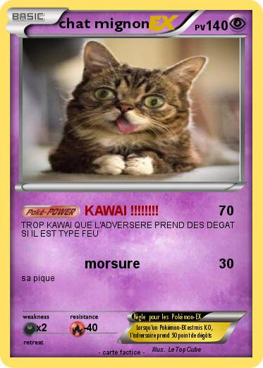Pokemon chat mignon