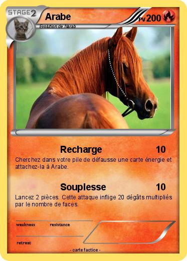Pokemon Arabe