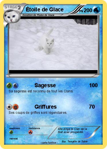 Pokemon Étoile de Glace