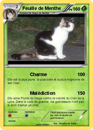 Pokemon Feuille de Menthe
