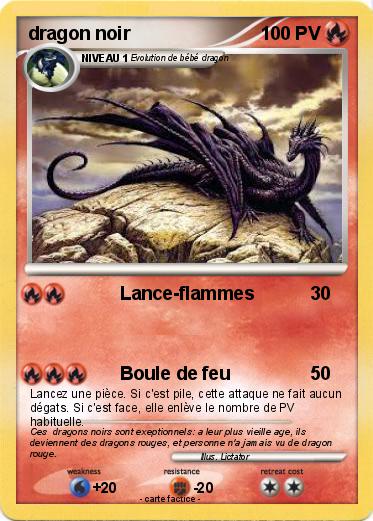 Pokemon dragon noir