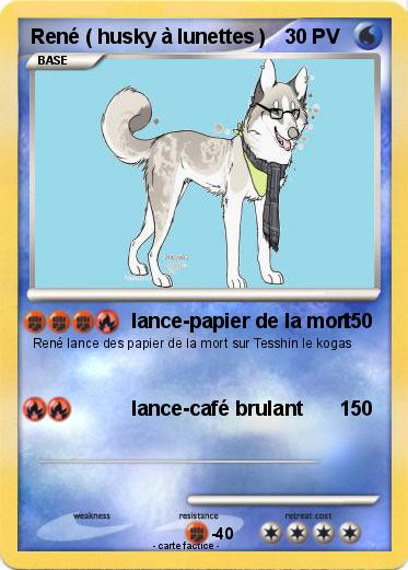 Pokemon René ( husky à lunettes )