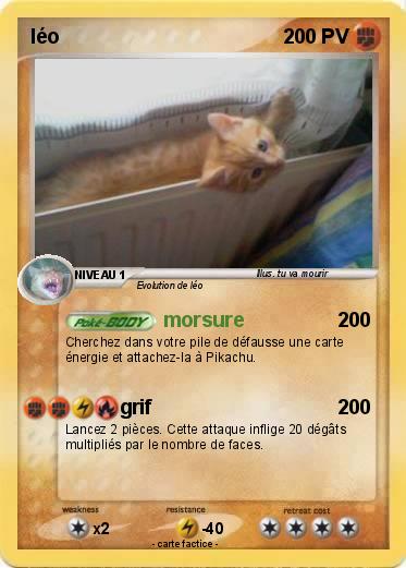Pokemon léo