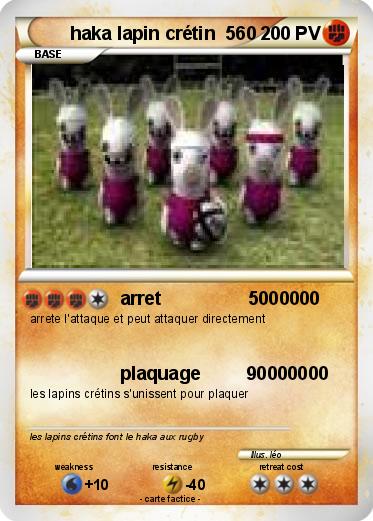 Pokemon haka lapin crétin  560