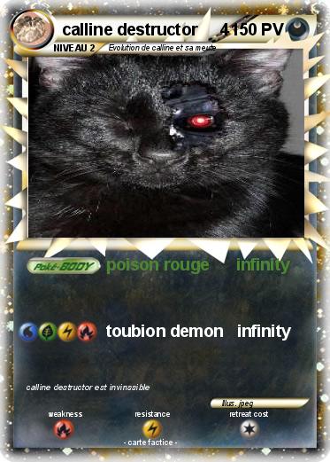 Pokemon calline destructor     4