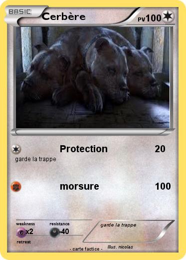 Pokemon Cerbère