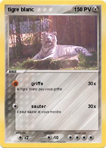 Pokemon tigre blanc