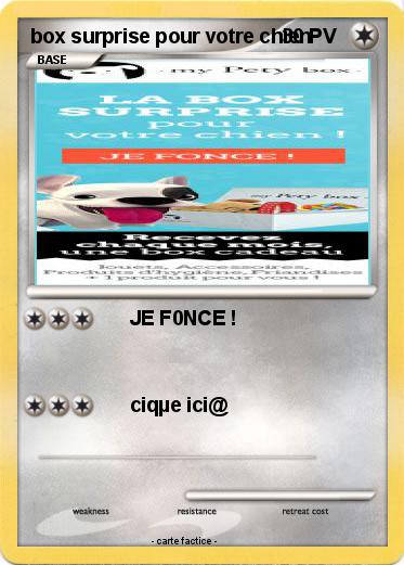 Pokemon box surprise pour votre chien