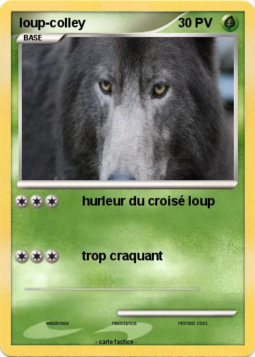 Pokemon loup-colley