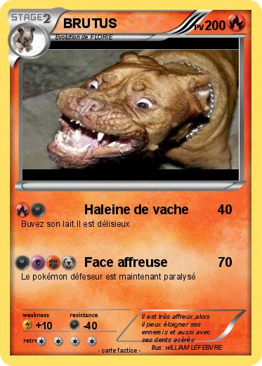 Pokemon BRUTUS