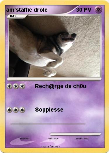 Pokemon am'staffie drôle