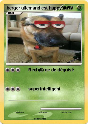 Pokemon berger allemand est happy meal