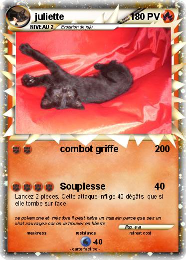 Pokemon juliette