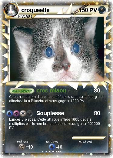 Pokemon croqueette