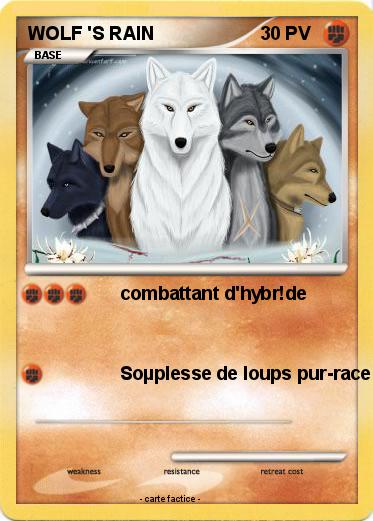 Pokemon WOLF 'S RAIN