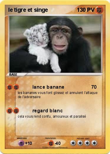 Pokemon le tigre et singe 