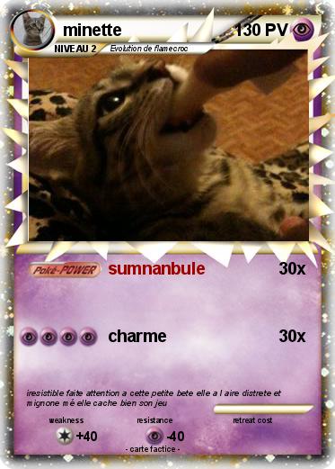 Pokemon minette