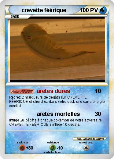 Pokemon crevette féérique